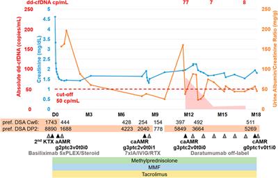 Donor-Derived Cell-Free DNA as a Companion Biomarker for AMR Treatment With Daratumumab: Case Series